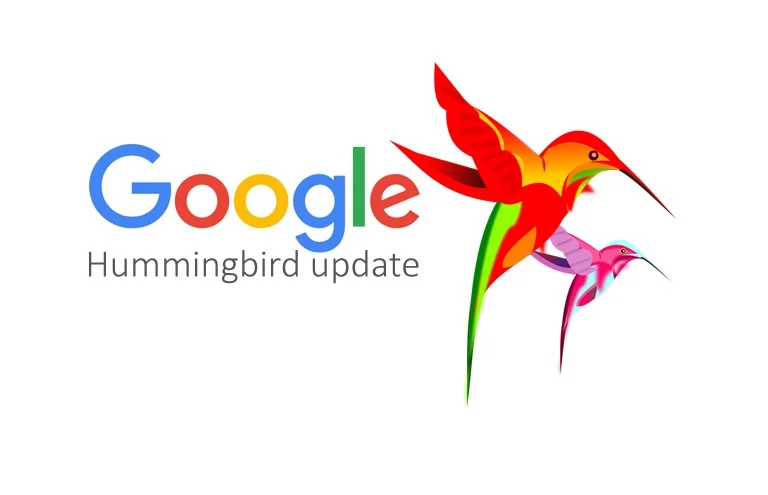 Google Hummingbird Algorithm: Era of Semantic Search