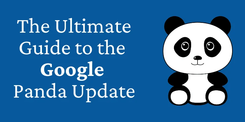 Google Panda Update: A Complete Guide