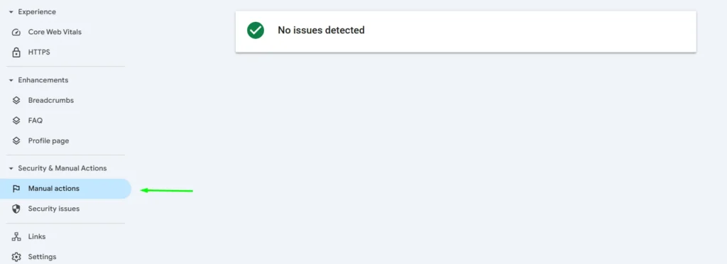 manual action gsc sex toy seo guide
